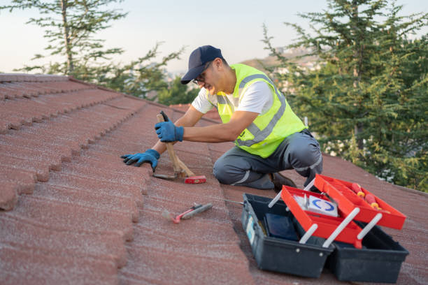 Best Flat Roof Repair Services  in North Barrington, IL